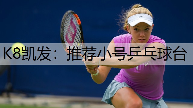 K8凯发：推荐小号乒乓球台