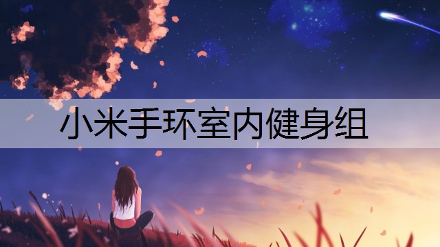 小米手环室内健身组