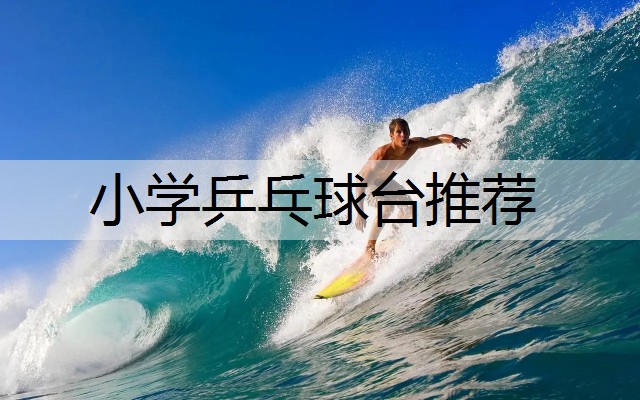小学乒乓球台推荐