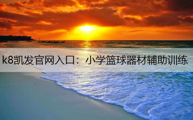 k8凯发官网入口：小学篮球器材辅助训练