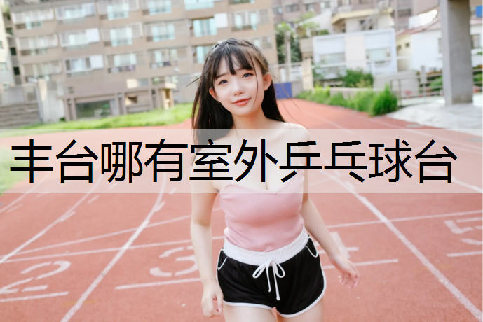丰台哪有室外乒乓球台
