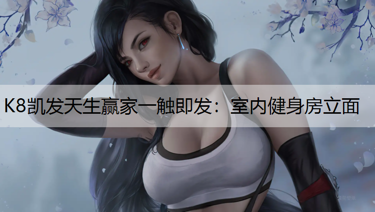 K8凯发天生赢家一触即发：室内健身房立面