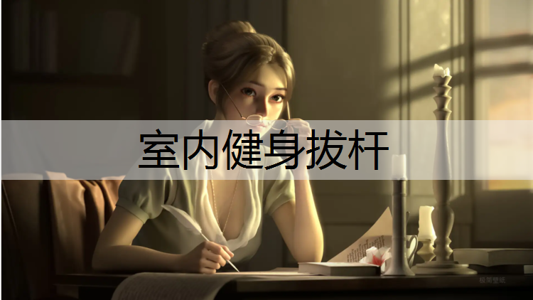 室内健身拔杆