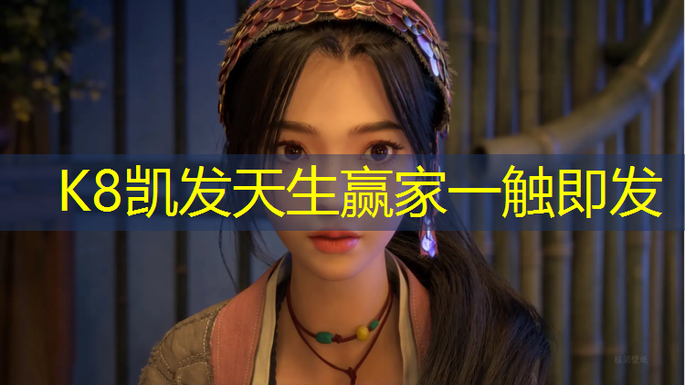 k8凯发官网入口：麦斯特网球网球