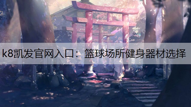 篮球场所健身器材选择