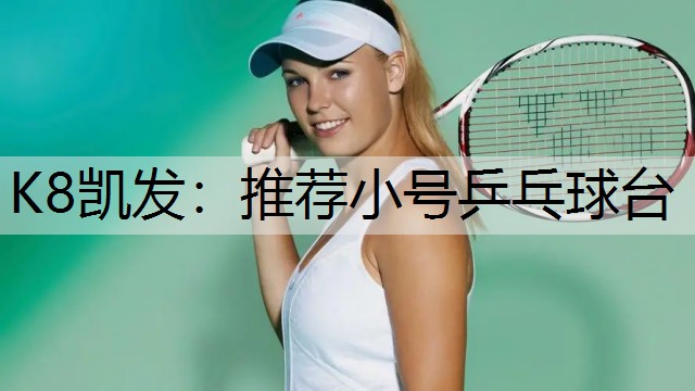 推荐小号乒乓球台