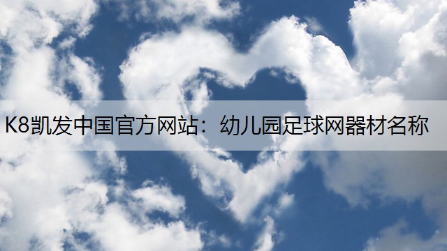 幼儿园足球网器材名称