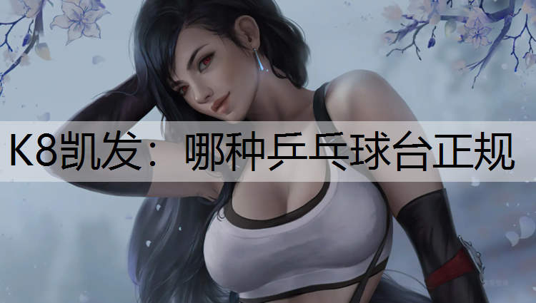 哪种乒乓球台正规