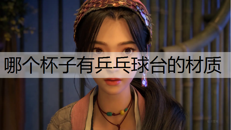哪个杯子有乒乓球台的材质